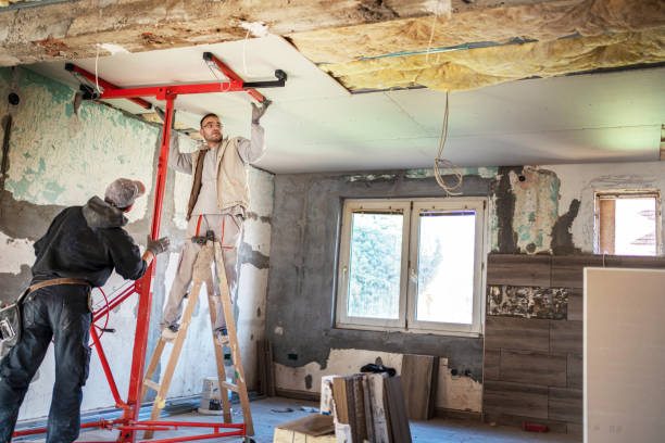Best Insulation Maintenance and Repair in Euless, TX